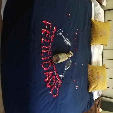 Calixtino Palas de Rei