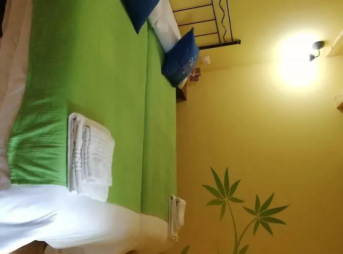 Calixtino Palas de Rei